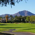 Scottsdale Orange Blossom