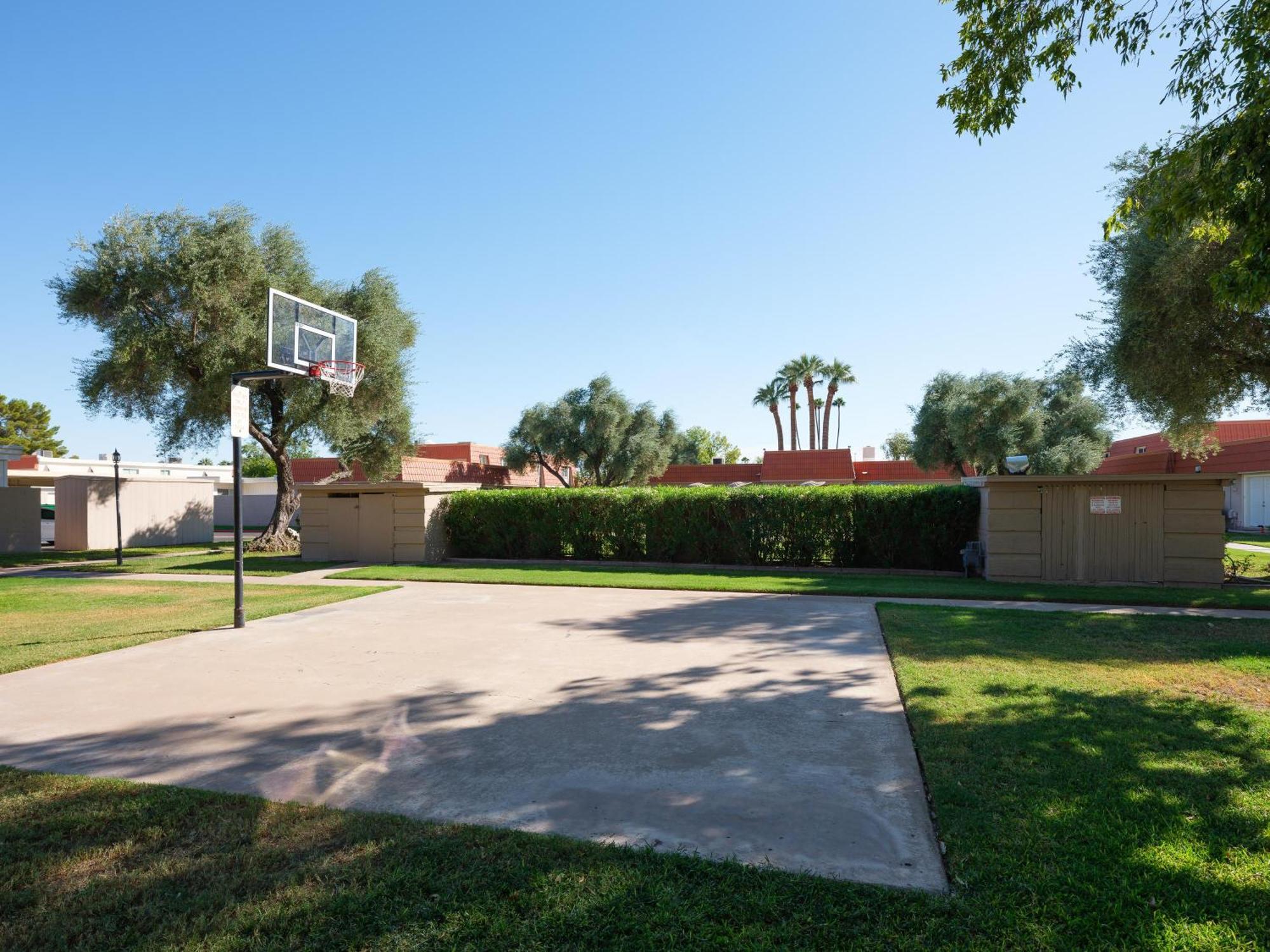 Modern Tropics Scottsdale