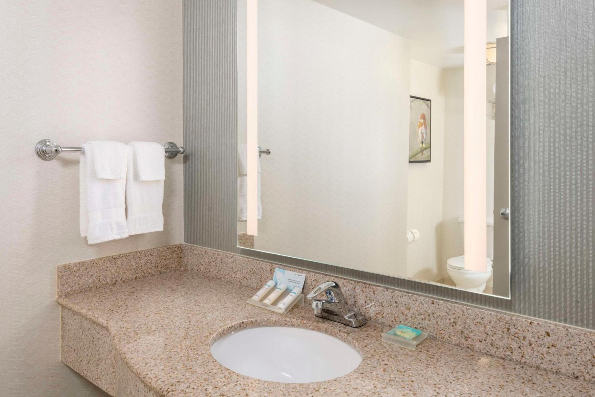 Hotel Hilton Garden North/perimeter Center 3*