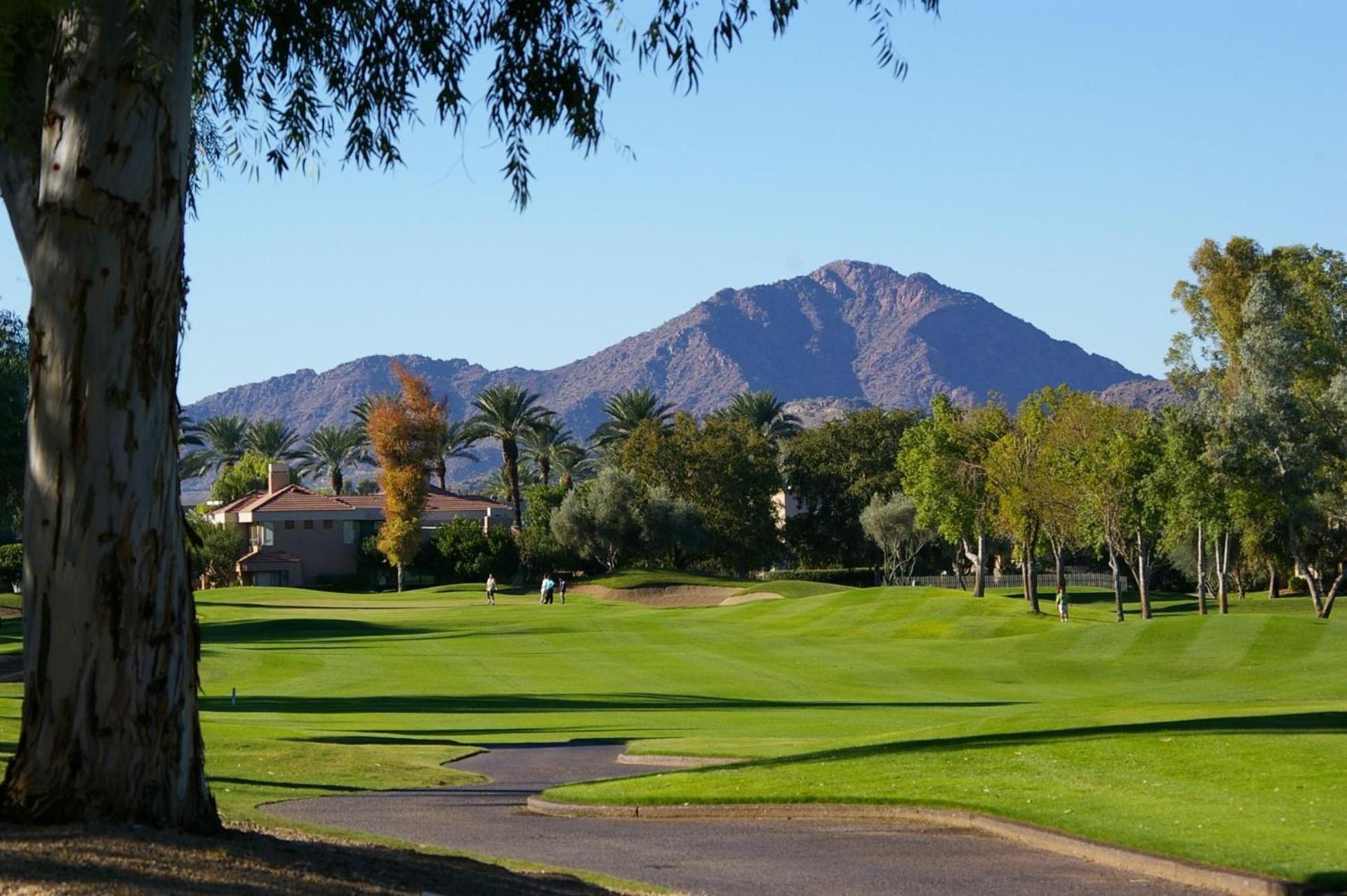 Orange Blossom Apartment Scottsdale
