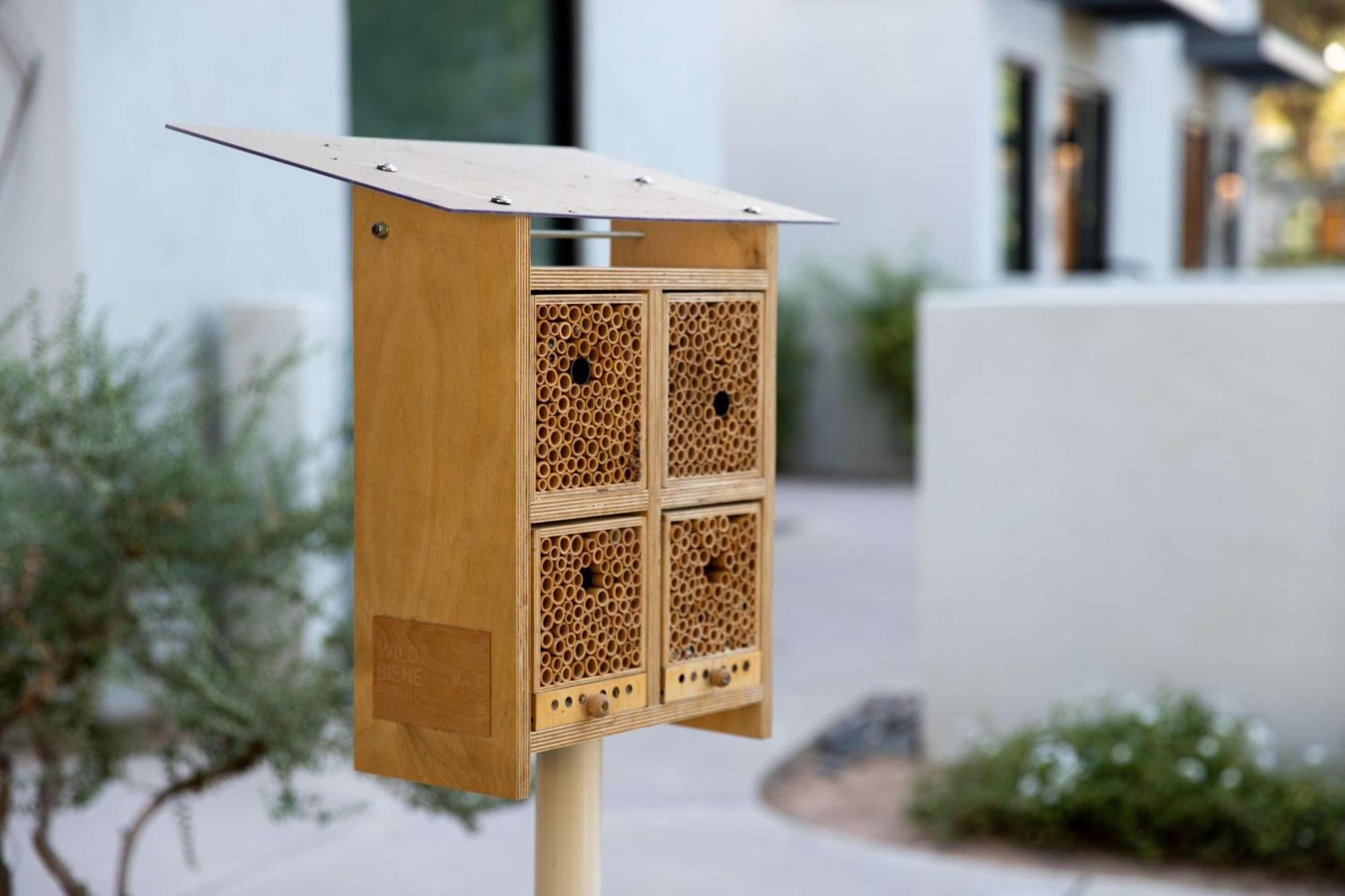 Andaz & Scottsdale