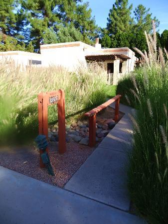 Cottonwoods &