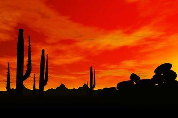 Hilton Garden North/perimeter Center Hotel Scottsdale