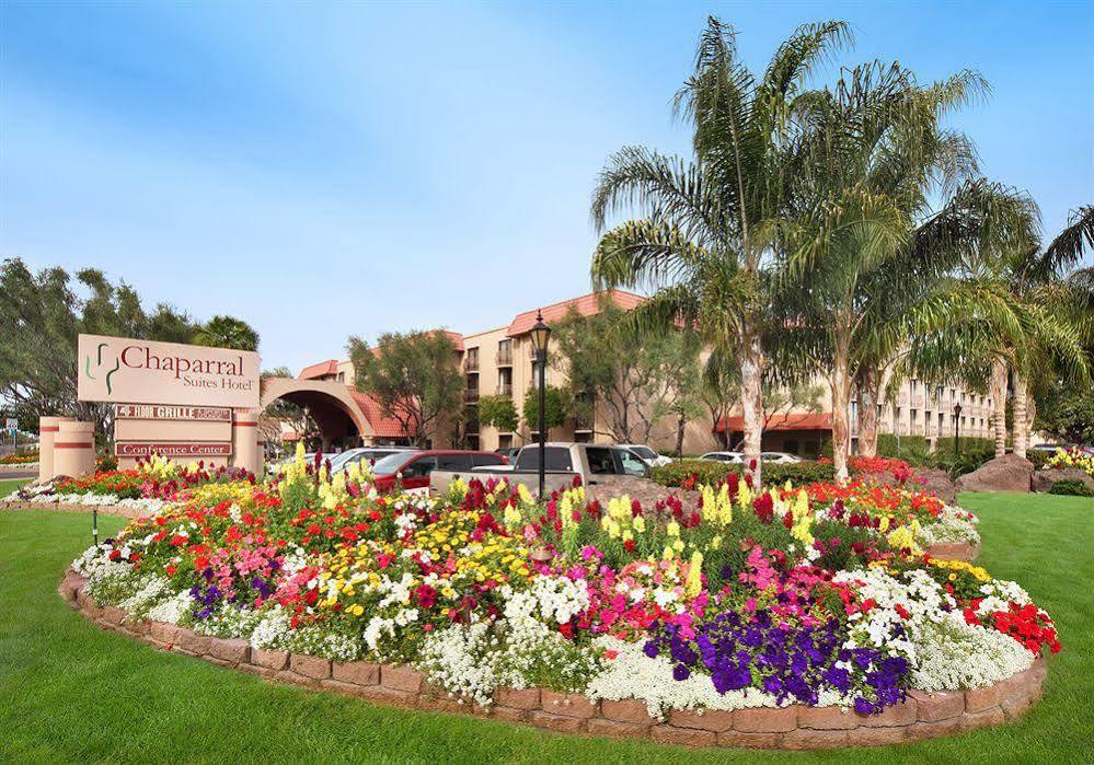 Embassy By Hilton 4*
