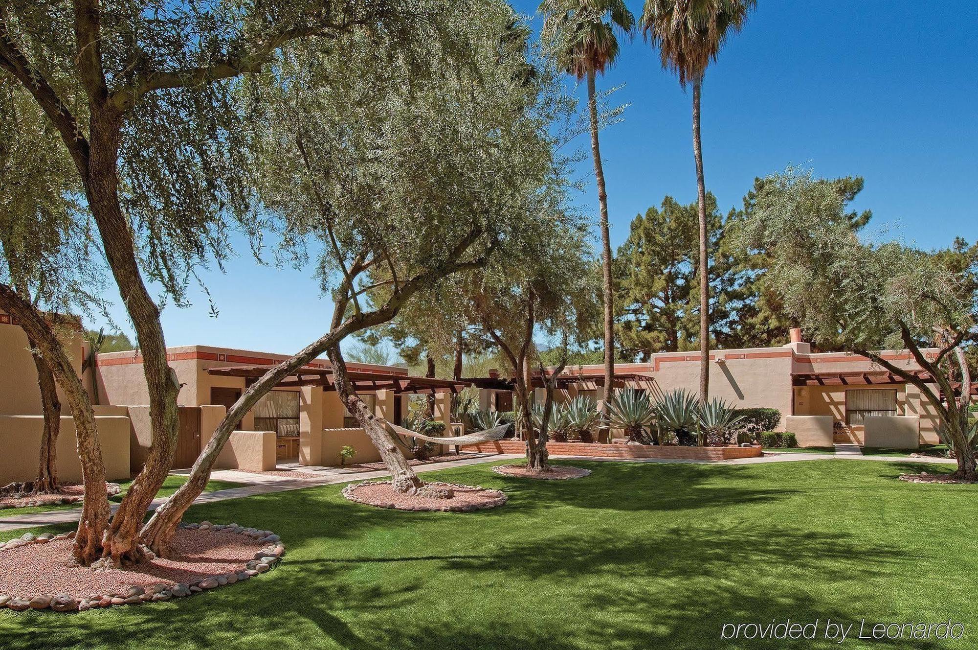 Cottonwoods & Hotel Scottsdale