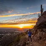 Scottsdale Miller