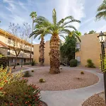 Scottsdale Miller