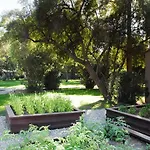 Smoketree Resort And Bungalows