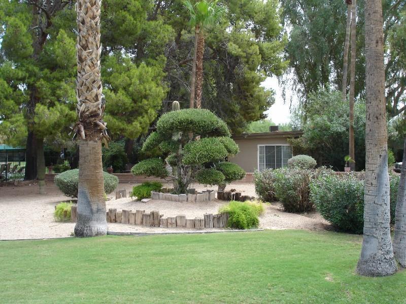 Smoketree And Bungalows Scottsdale