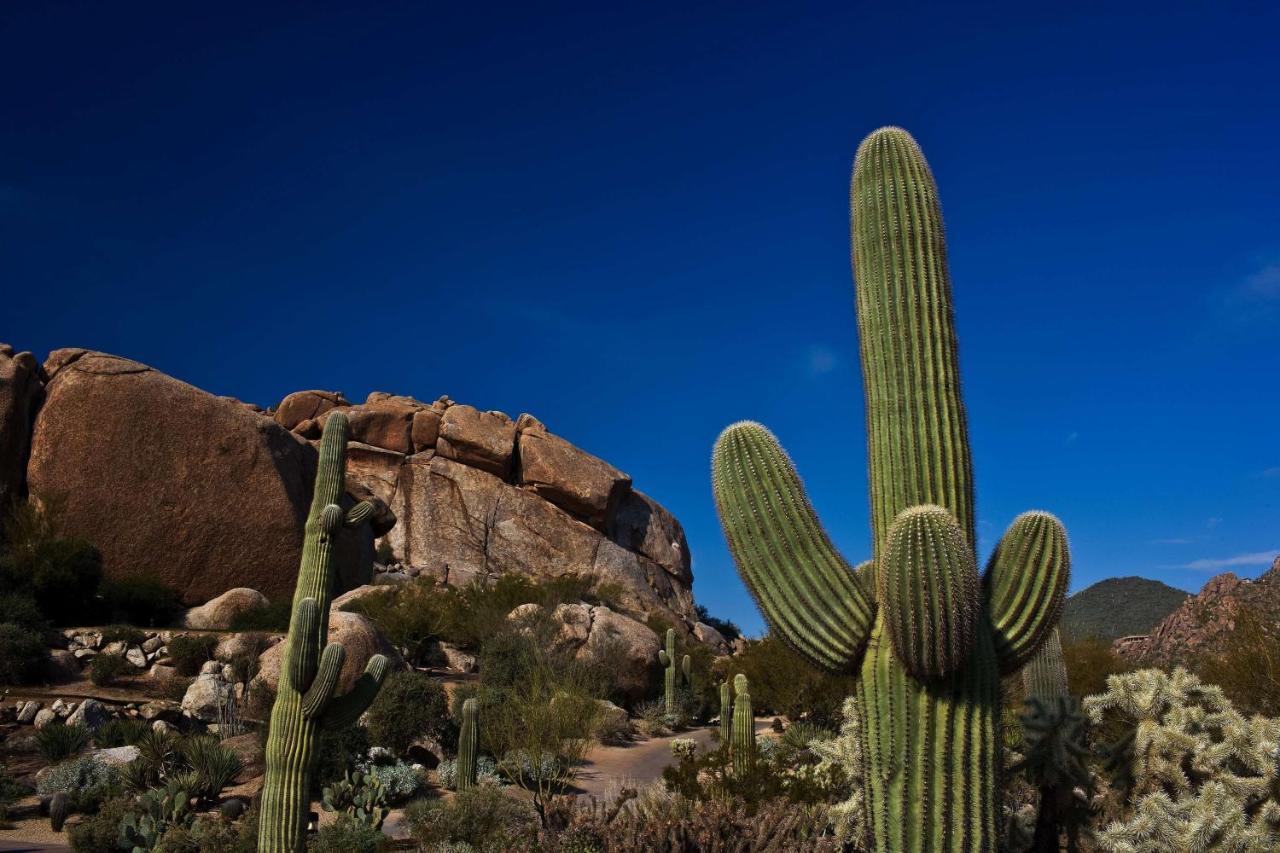 Boulders & Scottsdale, Curio Collection By Hilton 4*