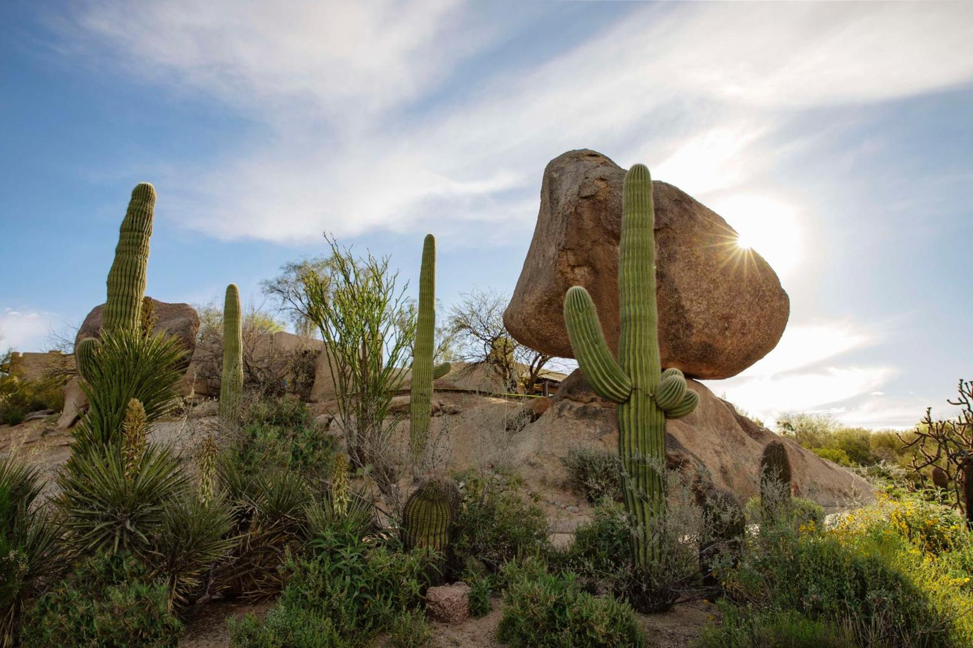 Boulders & Scottsdale, Curio Collection By Hilton Resort