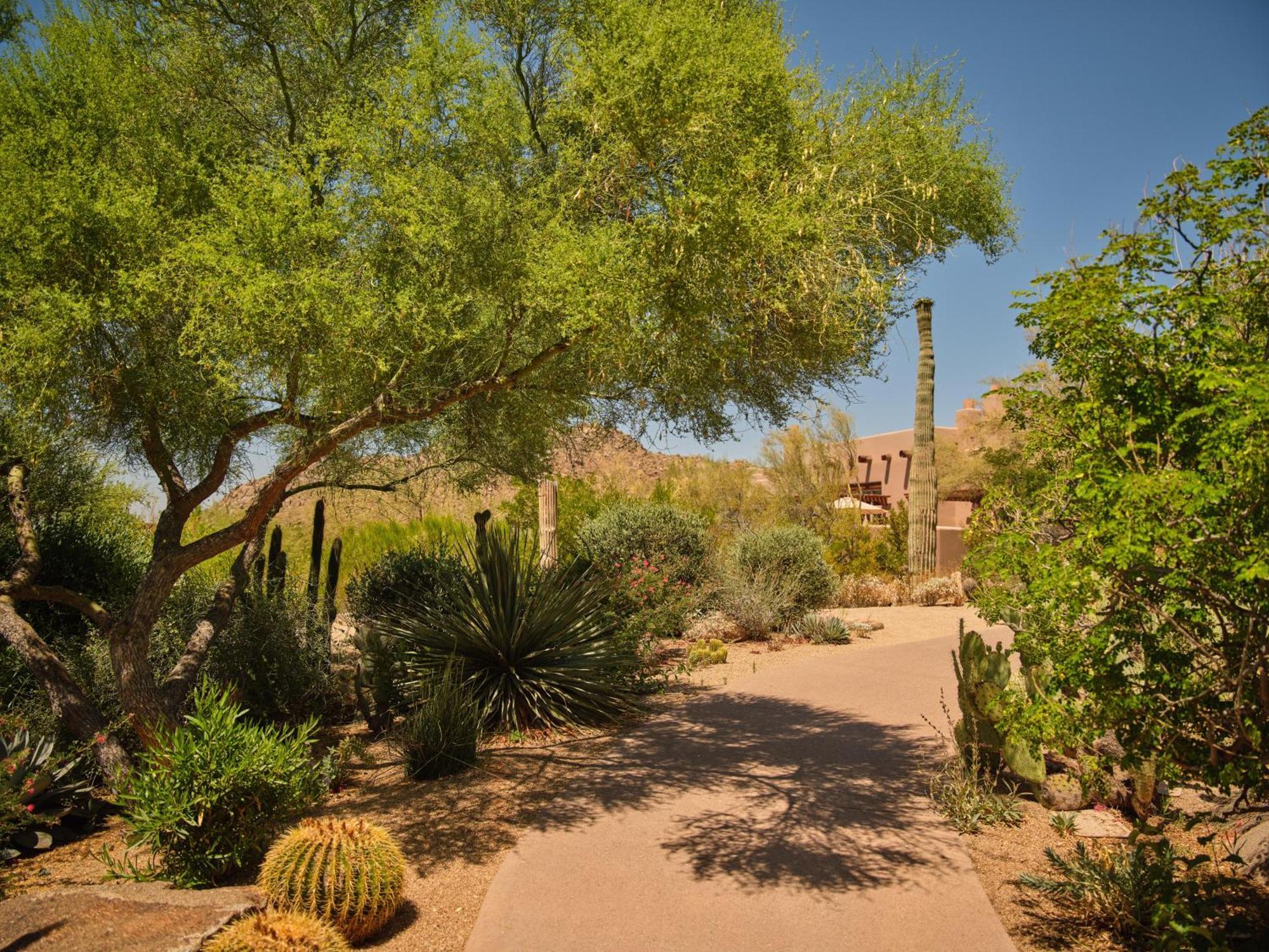 Four Seasons At Troon North Scottsdale