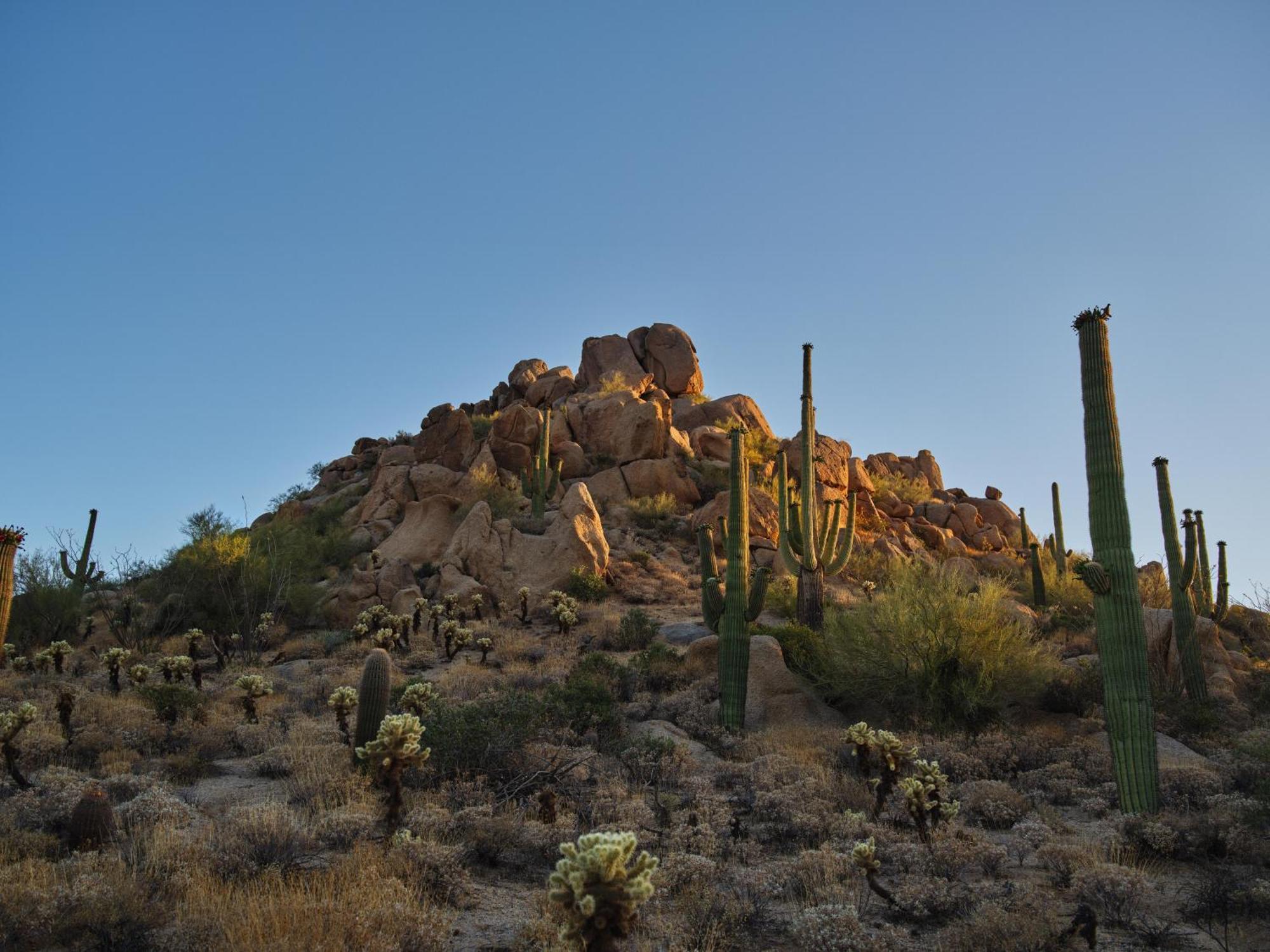 Resort Four Seasons At Troon North