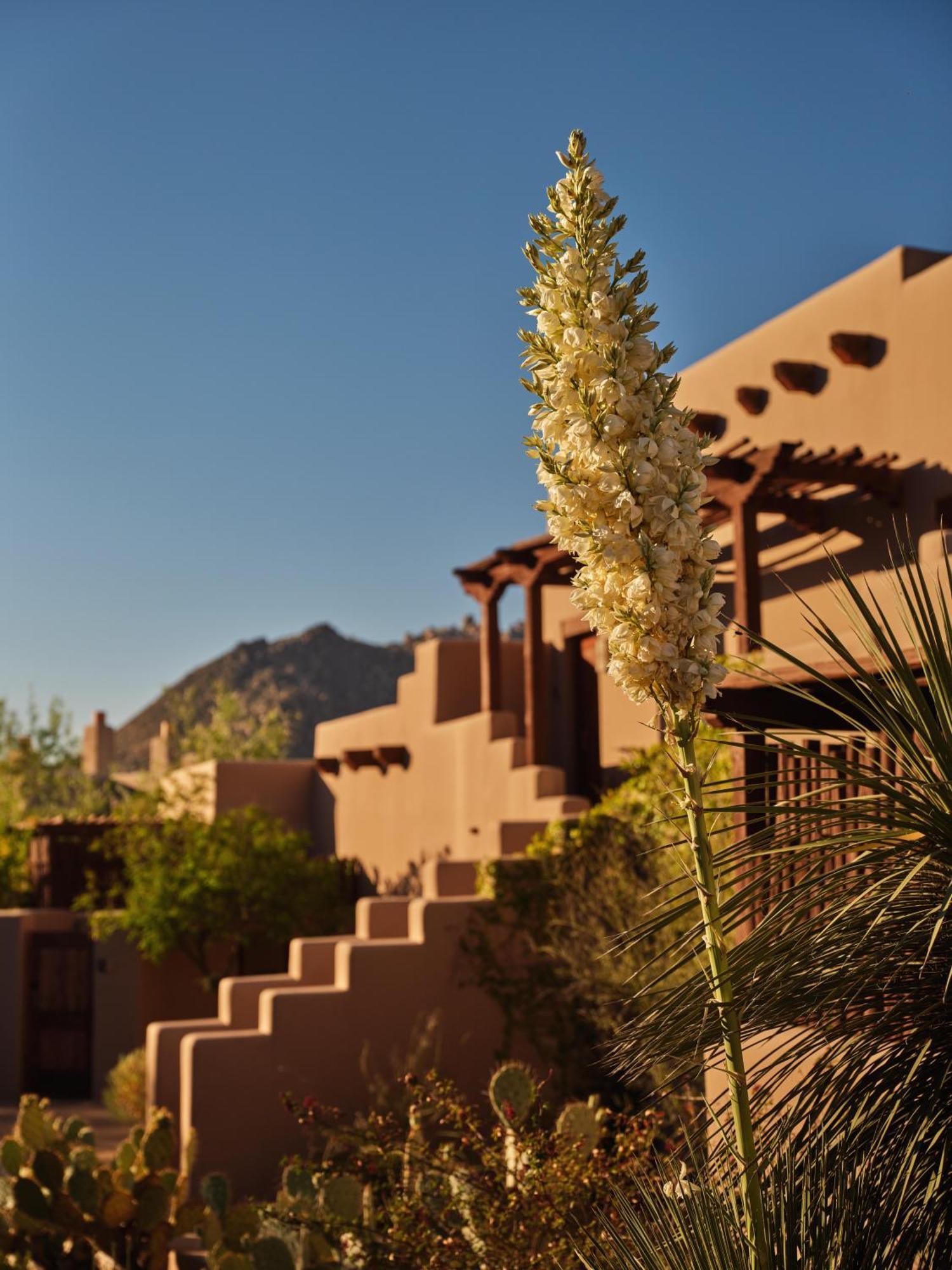 Resort Four Seasons At Troon North 5*