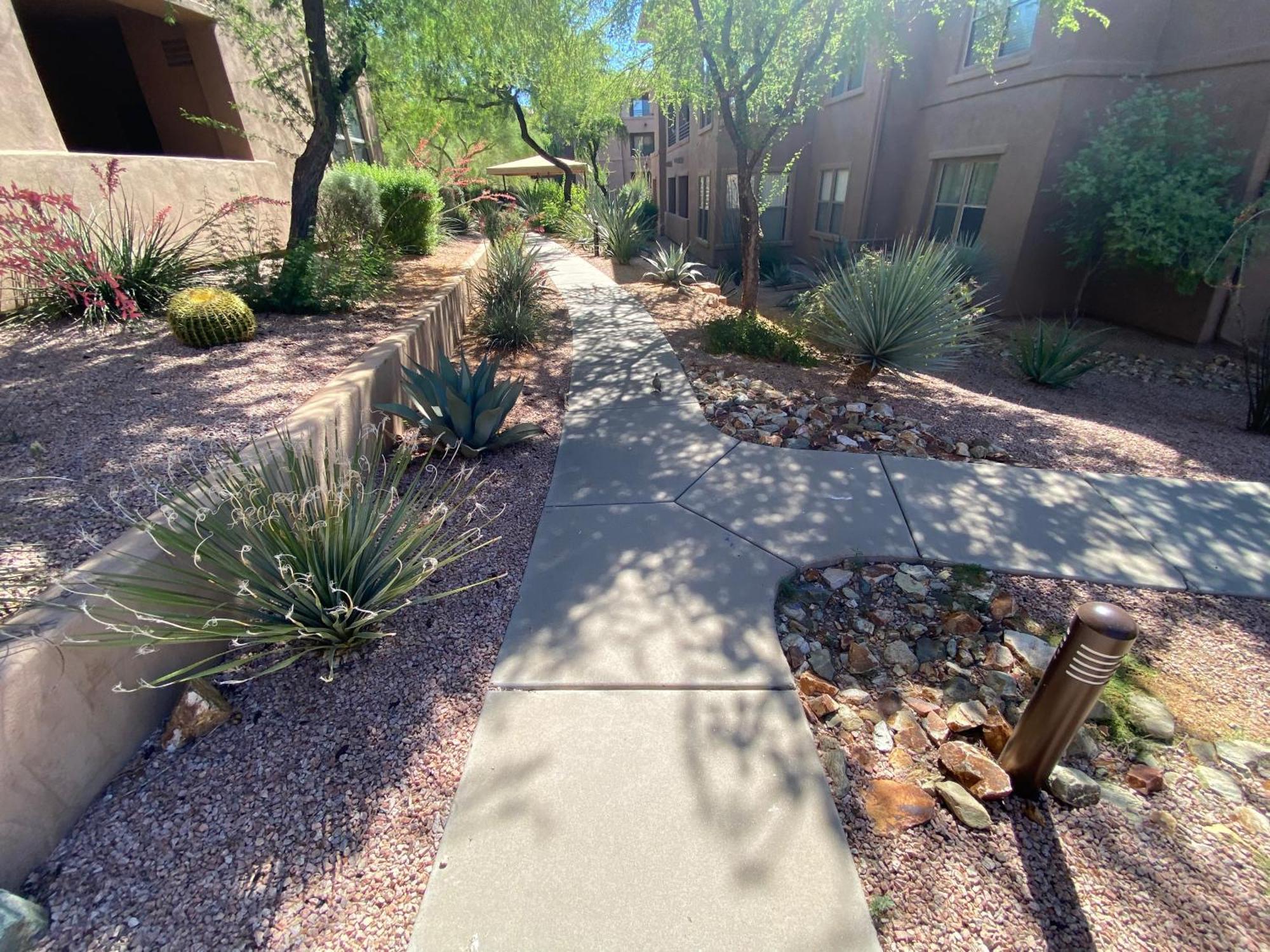 New At The Venu At Grayhawk Apartment *