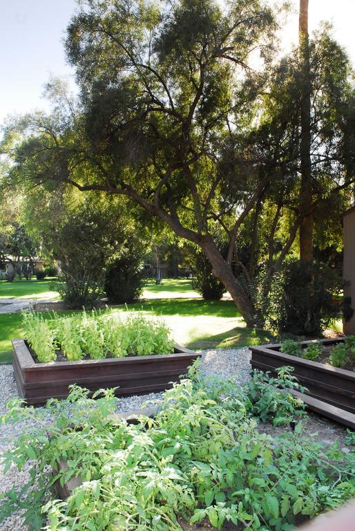 Hotel Smoketree And Bungalows
