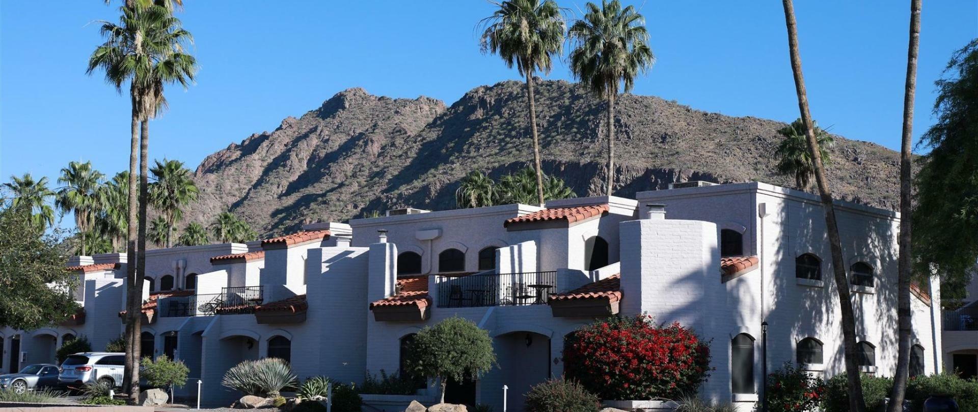 Camelback
