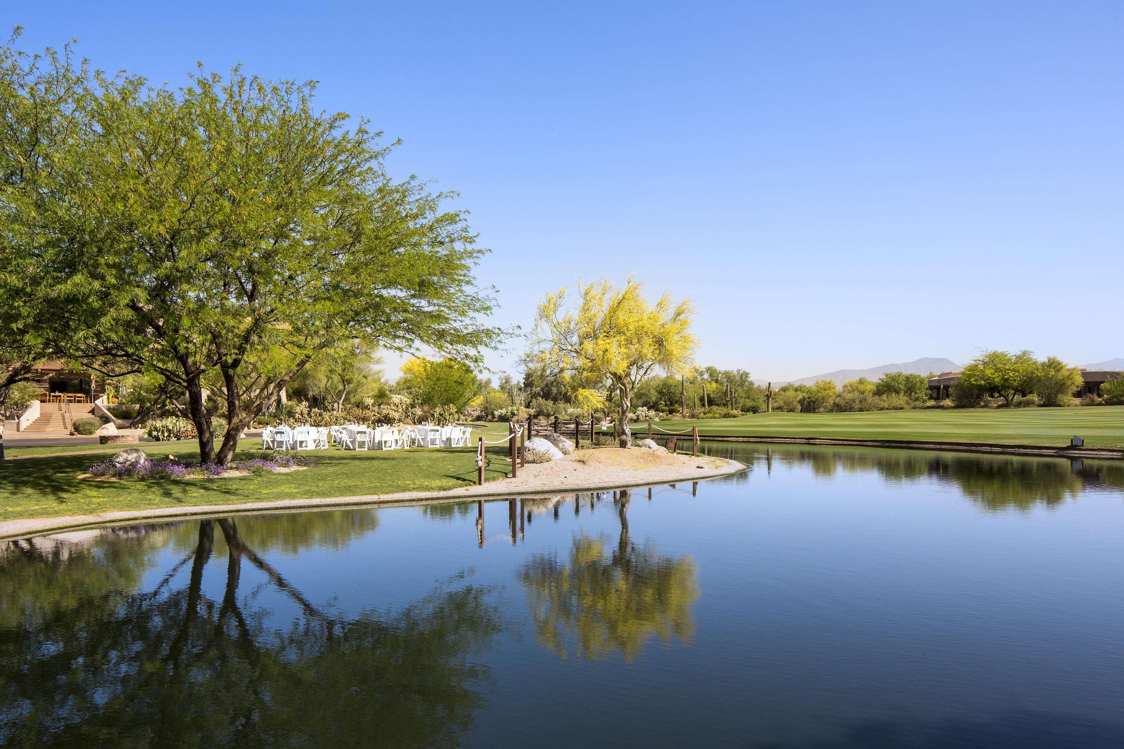 Boulders & Scottsdale, Curio Collection By Hilton Scottsdale