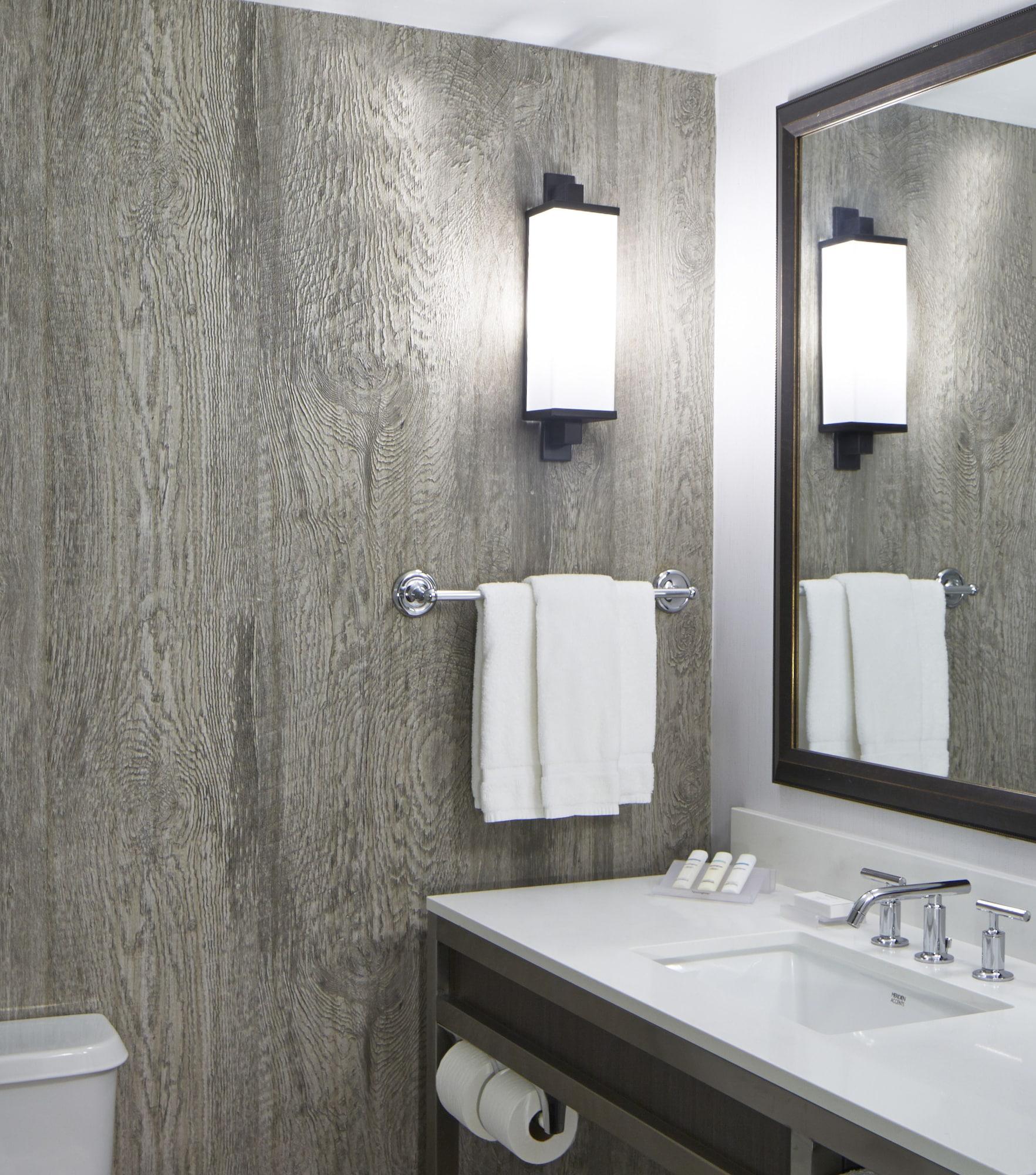 Hilton Garden Old Town Hotel Scottsdale