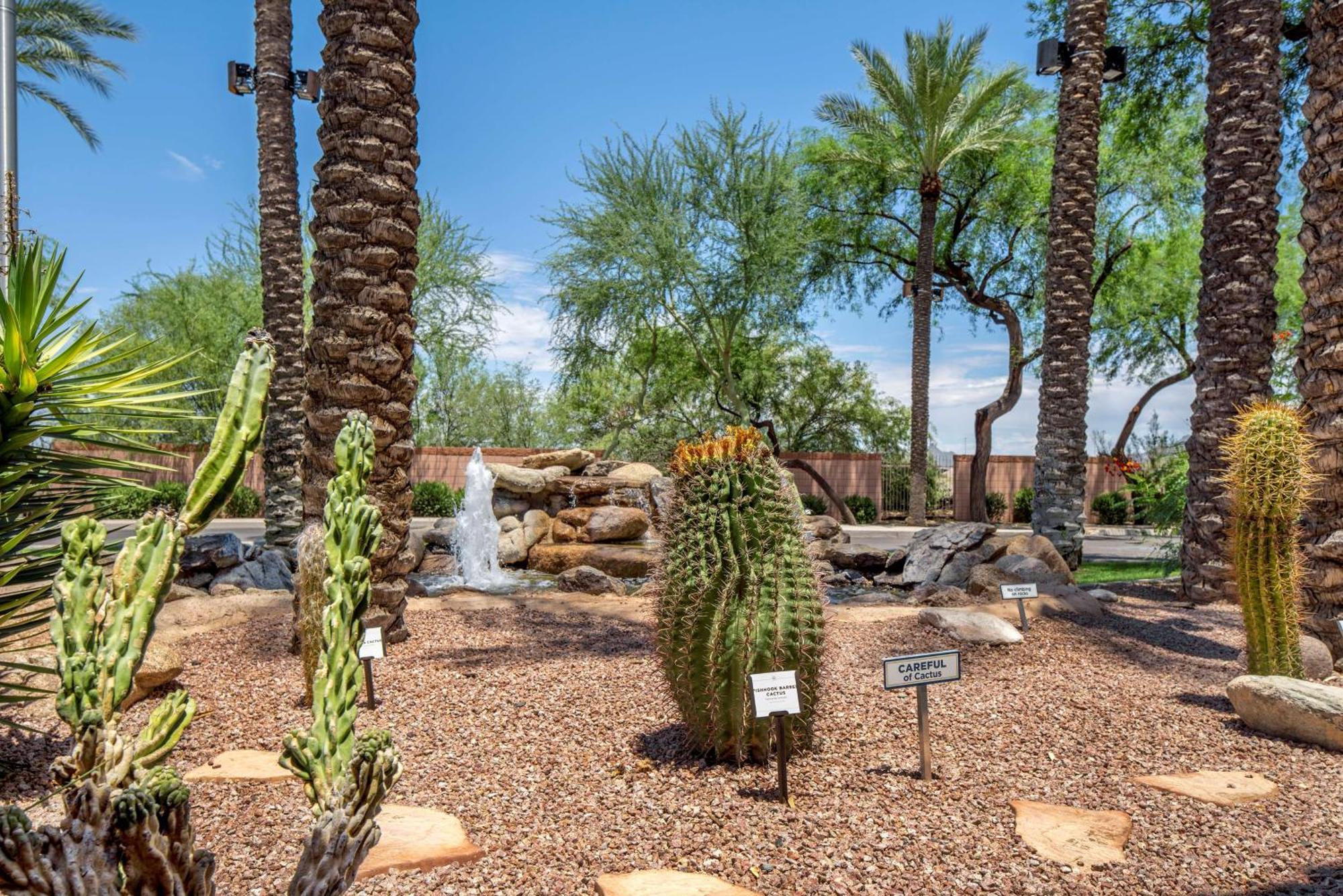 Hilton Vacation Club Mirage 3* Scottsdale